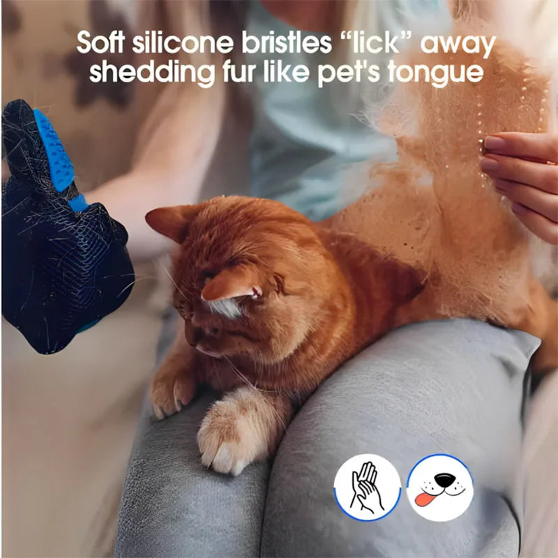 Transform Grooming Into Joyful Bonding Moments